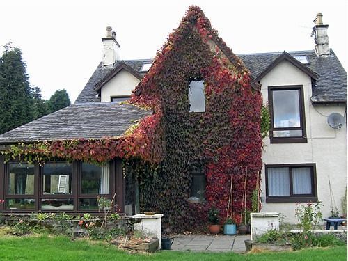 Hotel Achnabobane Farmhouse Spean Bridge Exteriér fotografie