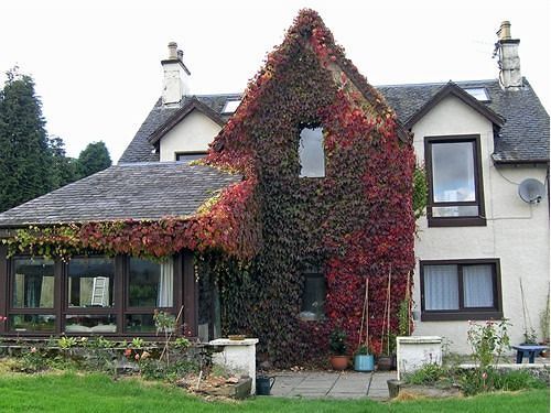 Achnabobane Farmhouse Spean Bridge Exteriér fotografie